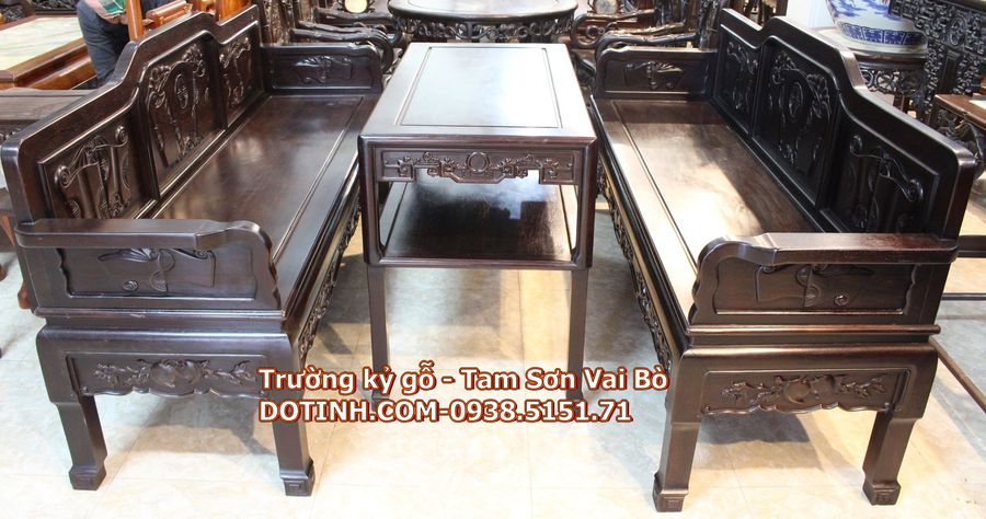 truong-ky-go-tam-son_01