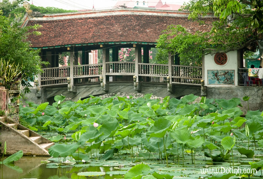 cau ngoi dep nhat viet nam 4