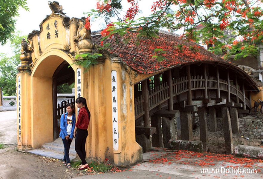 cau ngoi dep nhat viet nam 6