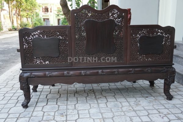 Truong ky duc truc 001