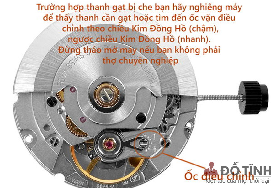 cach chinh chuong dong ho cay 2