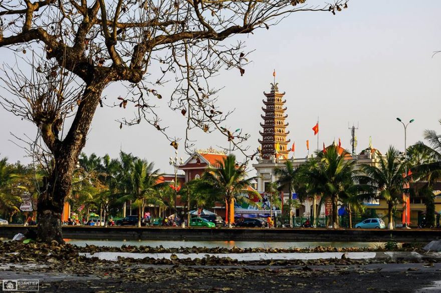 Xuân đến thay áo mới