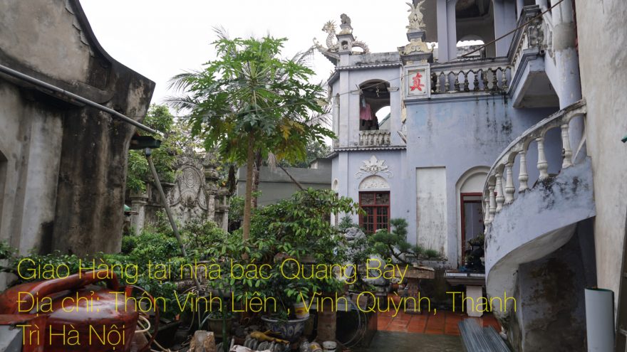 giao sap 3 thanh tai ha noi 10