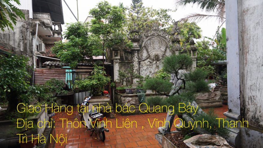 Khoảng sân vườn tràn ngập sắc xanh (Ảnh: Dotinh.com)