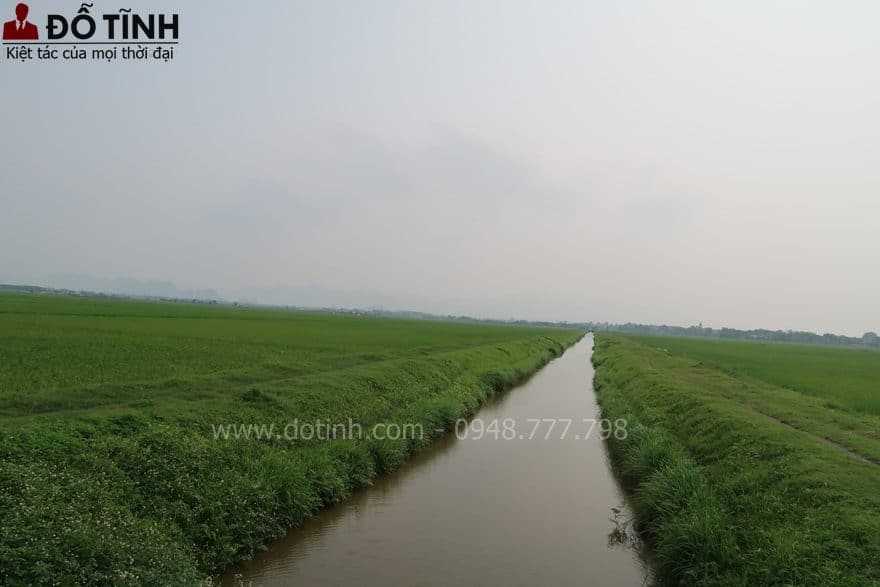 truong ky ngu lan von cau 6 mon 8