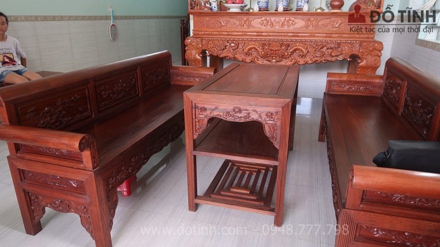 Màu sắc cánh gián non - Ảnh: Dotinh.com