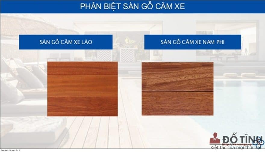Gỗ căm xe có mấy loại? - Ảnh: Internet