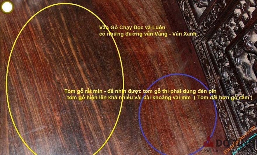 Cách nhận biết gỗ trắc - Ảnh: Internet