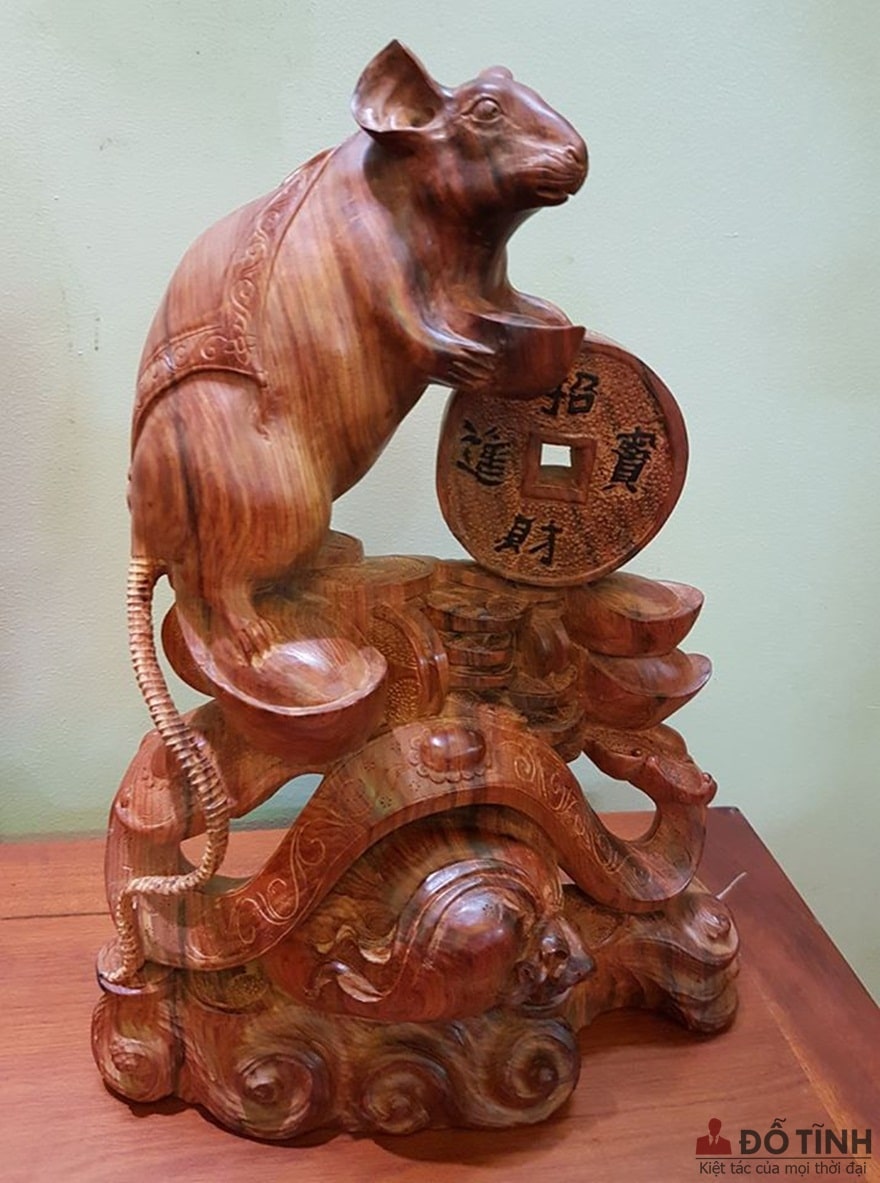 Chuột gỗ trắc - Ảnh: Internet