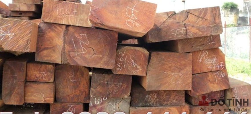 Gỗ trắc là gỗ gì? Đặc điểm cơ bản của gỗ trắc hiện nay - Ảnh: Internet