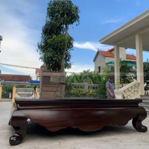 SG07-2021| Sập Trơn Gụ Ta Quảng Bình(1m8-2m2)