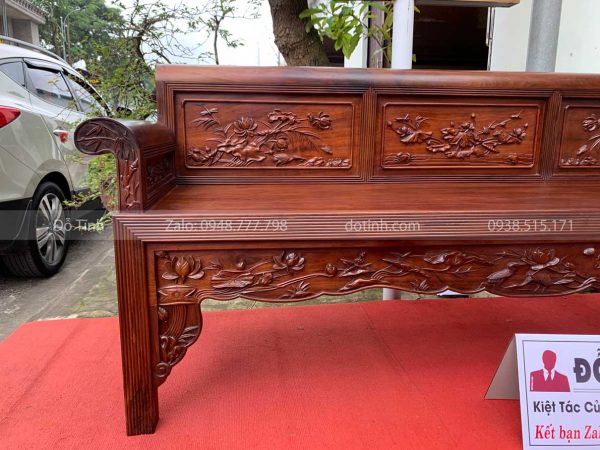 truong ky sen vit go gu ta quang binh 7