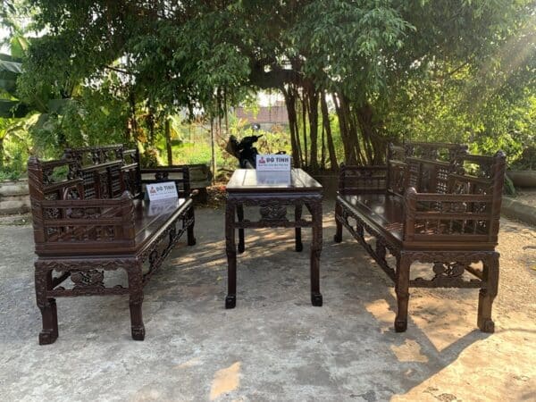 truong ky song tien ngu qua