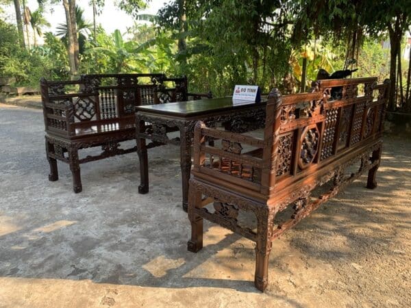 truong ky song tien ngu qua chi tiet